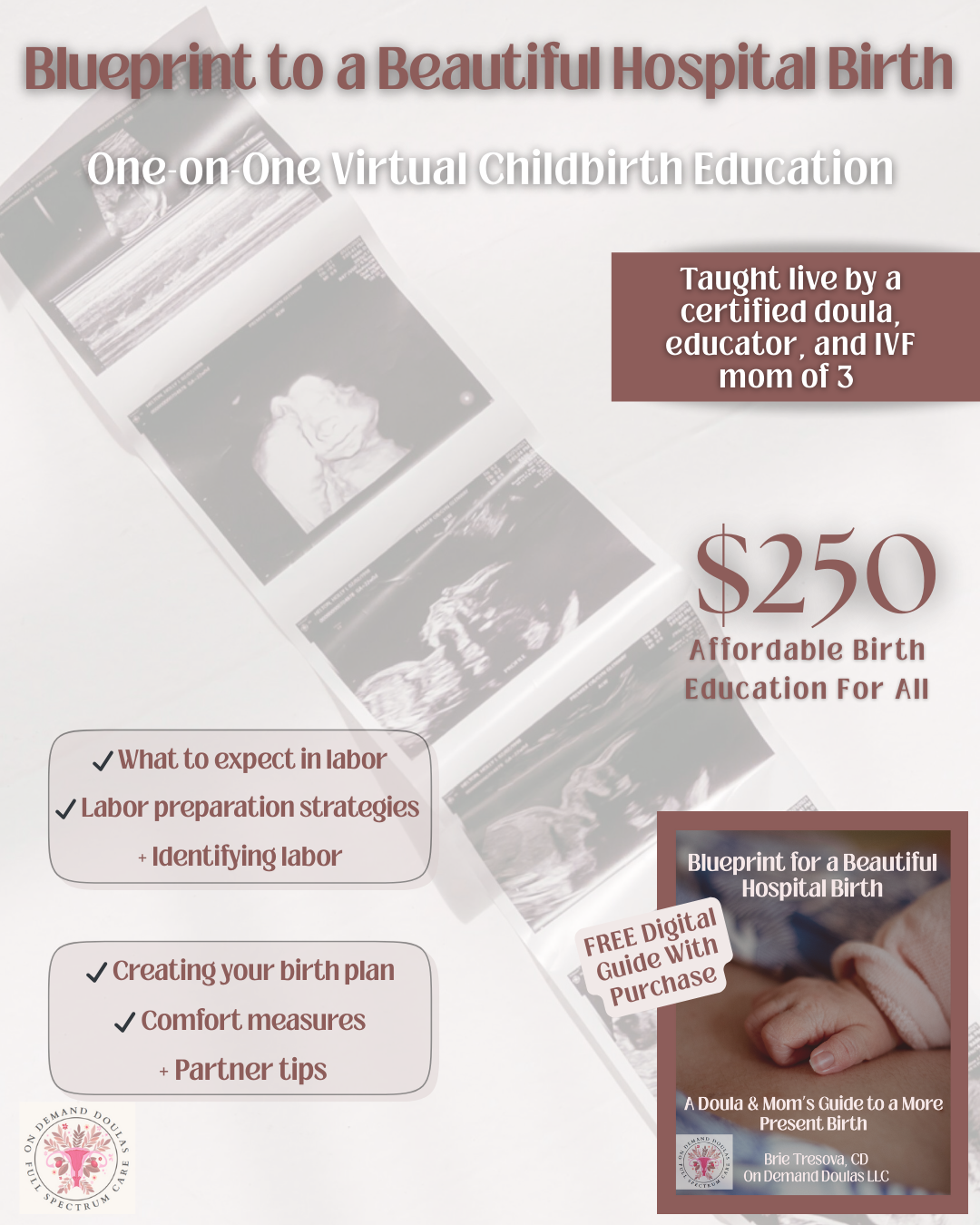 Private Live Virtual Childbirth Education